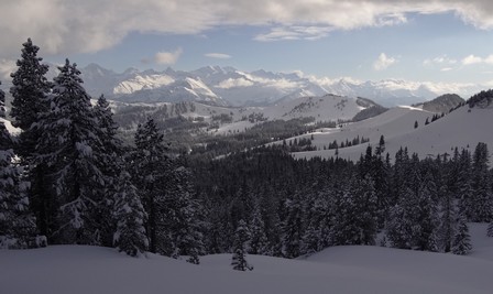 Berner Oberland