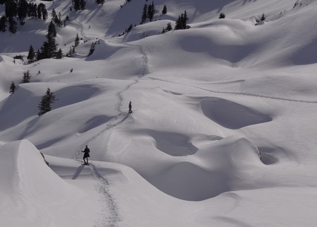 Schnee und Schatten